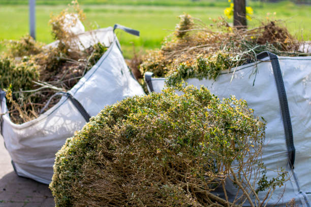 Best Yard Waste Removal  in Dexter, GA